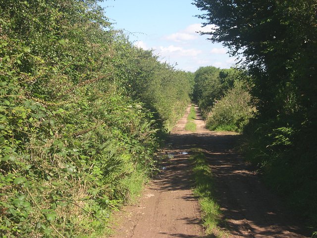 Nikon COOLPIX 4300 作例