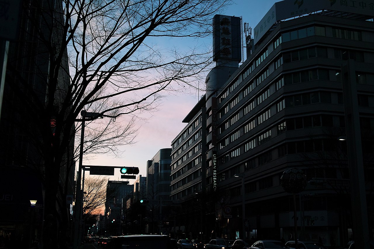 SIGMA DP2s 作例