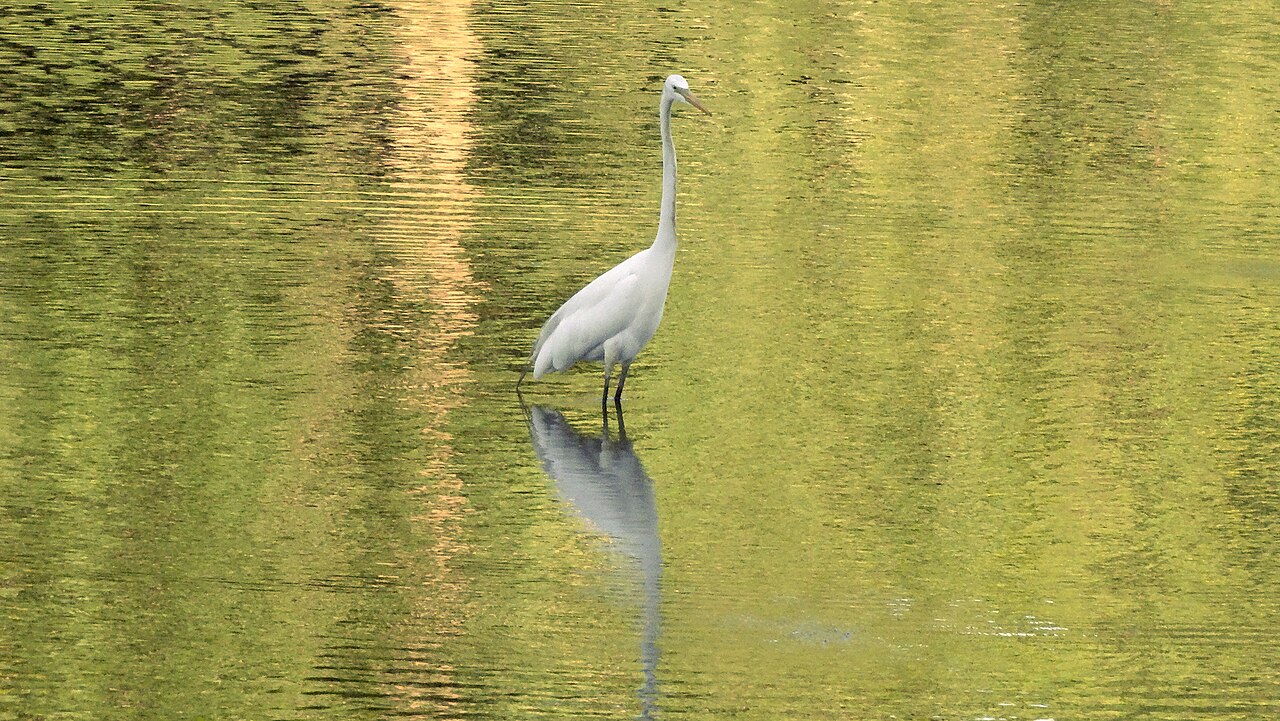Sony Cyber-shot DSC-HX300 作例